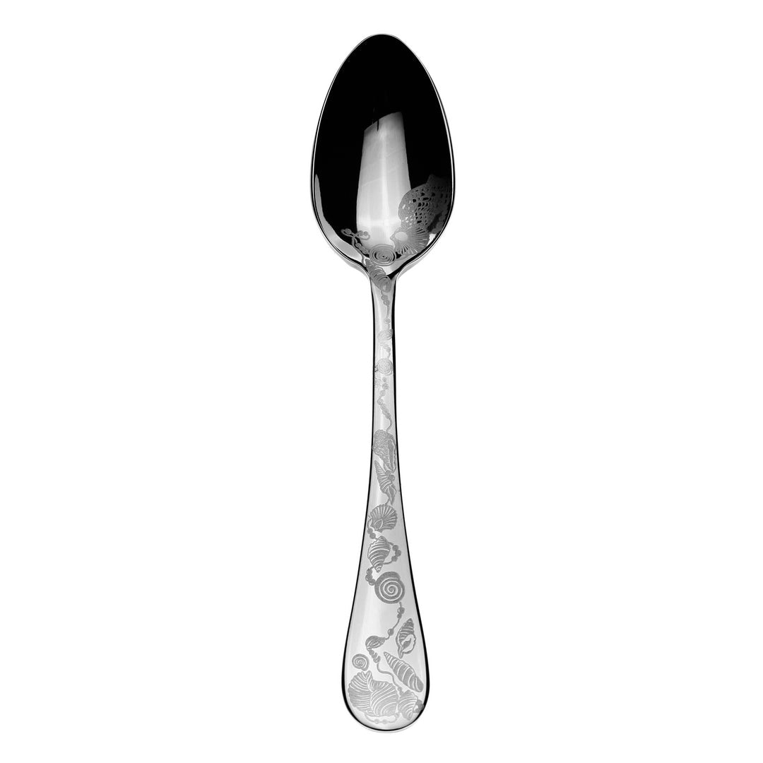 European Size Table Spoon
