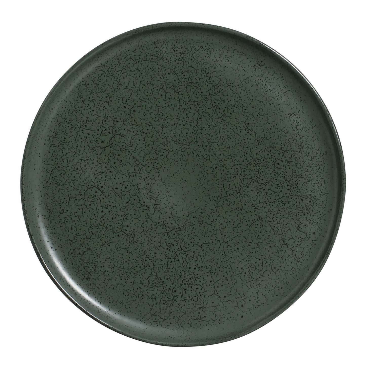 Porto Brasil GREENERY DINNER PLATE BIO STONEWARE dia. 11.42"  SKU: '1231106502
