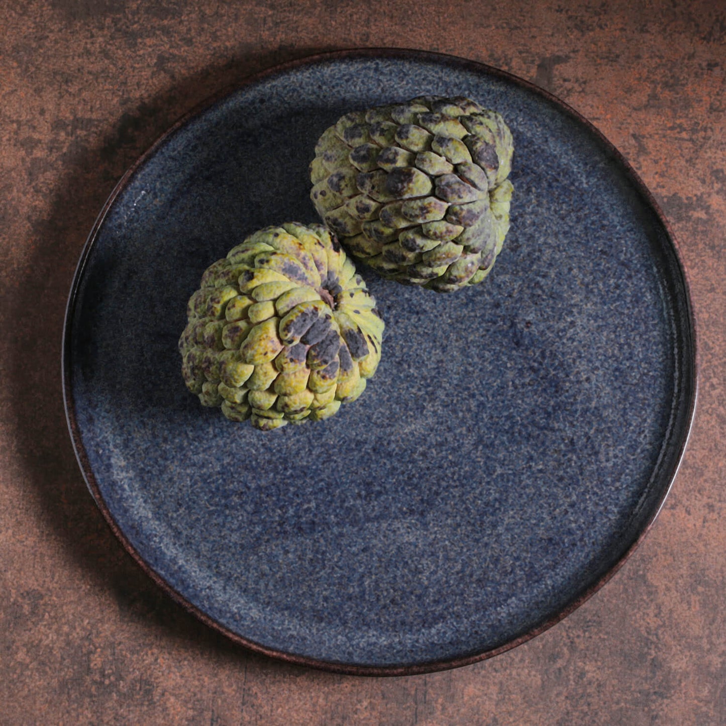 Porto Brasil TITANIUM DINNER PLATE BIO STONEWARE dia. 11.42"  SKU: '1231109402