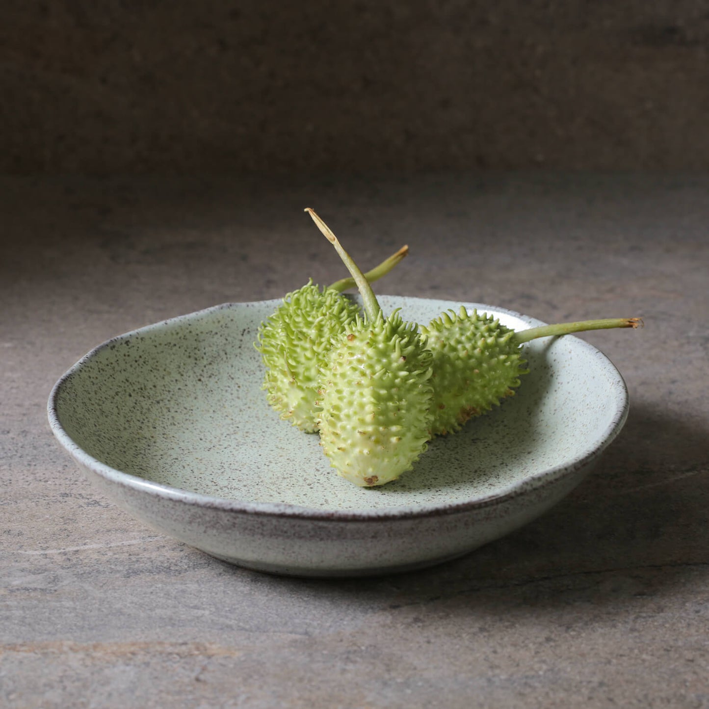 Porto Brasil PISTACHE SOUP PLATE BIO STONEWARE dia. 8.86" SKU: '1331108801