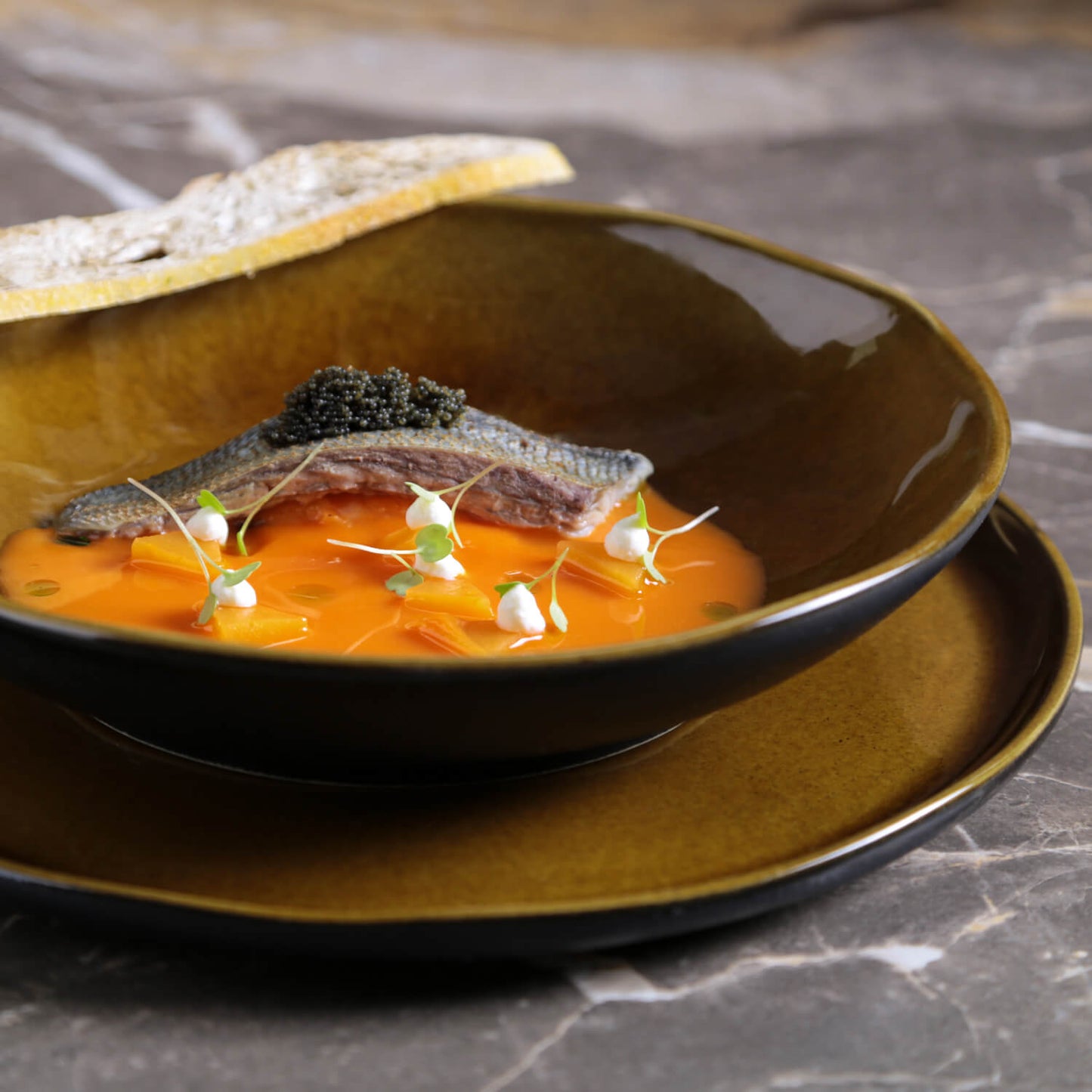 Porto Brasil AMBER SOUP PLATE BIO STONEWARE dia. 8.86" SKU: '133177101