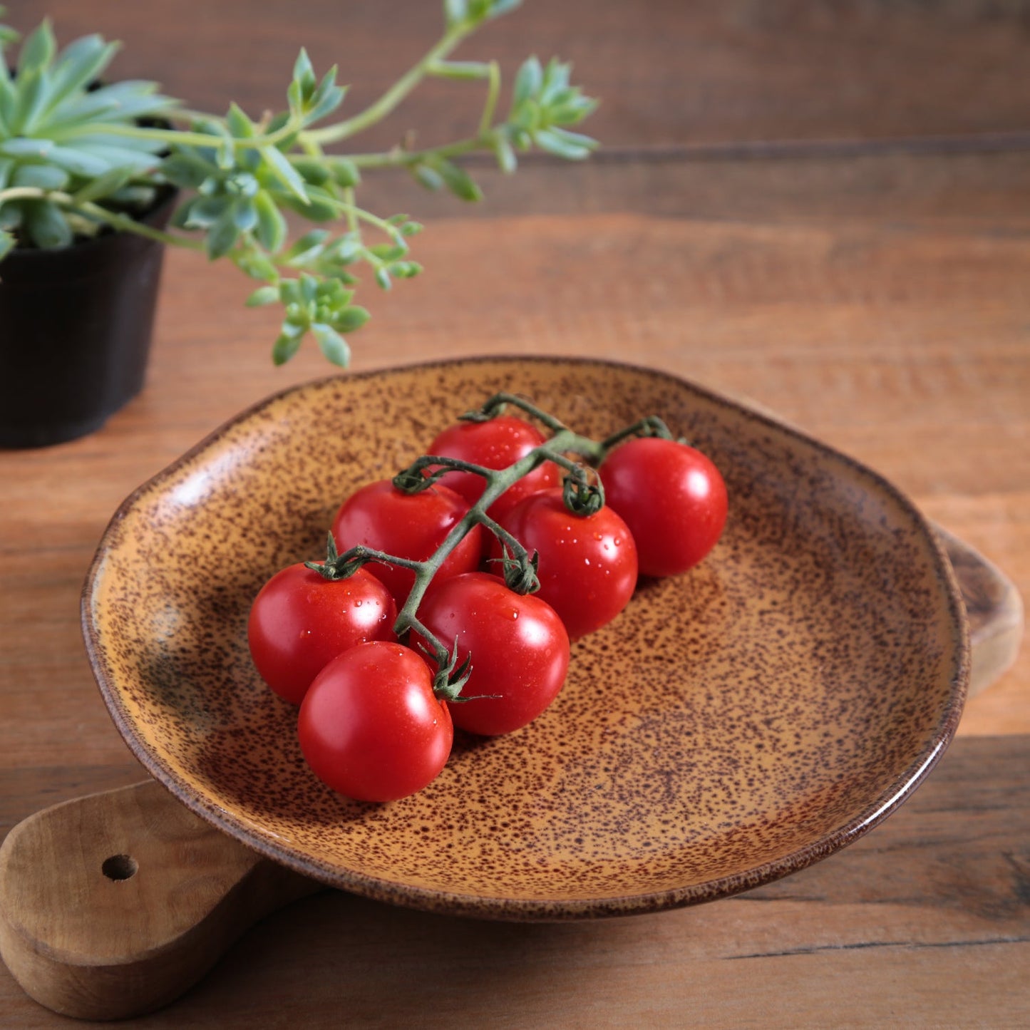 Porto Brasil DIJON DESSERT PLATE ORGANIC STONEWARE dia. 7.68" SKU: '1414105801