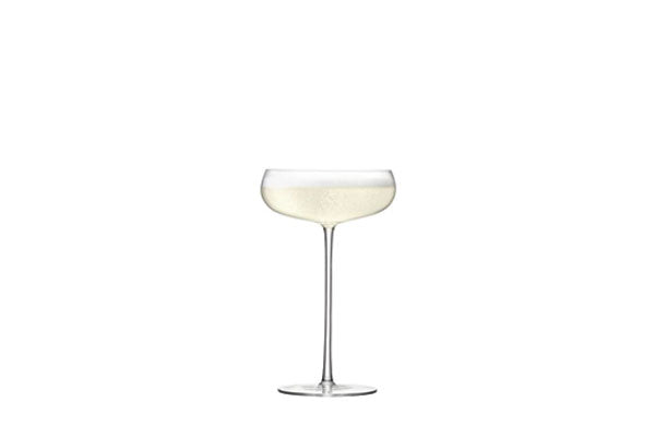 Wine Culture 11oz Champagne Coupe