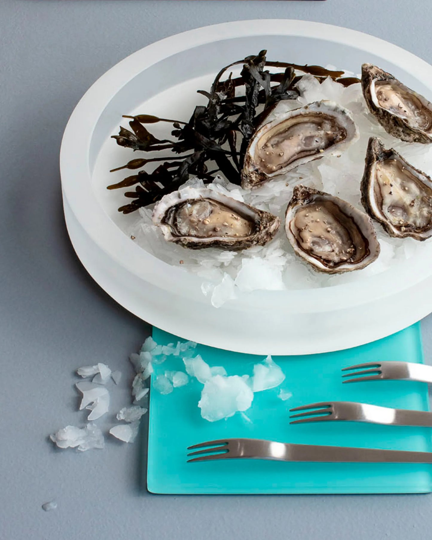 Revol MEALPLAK GOURMET ROUND -120 cl X1 Nacryl White SKU: '411518