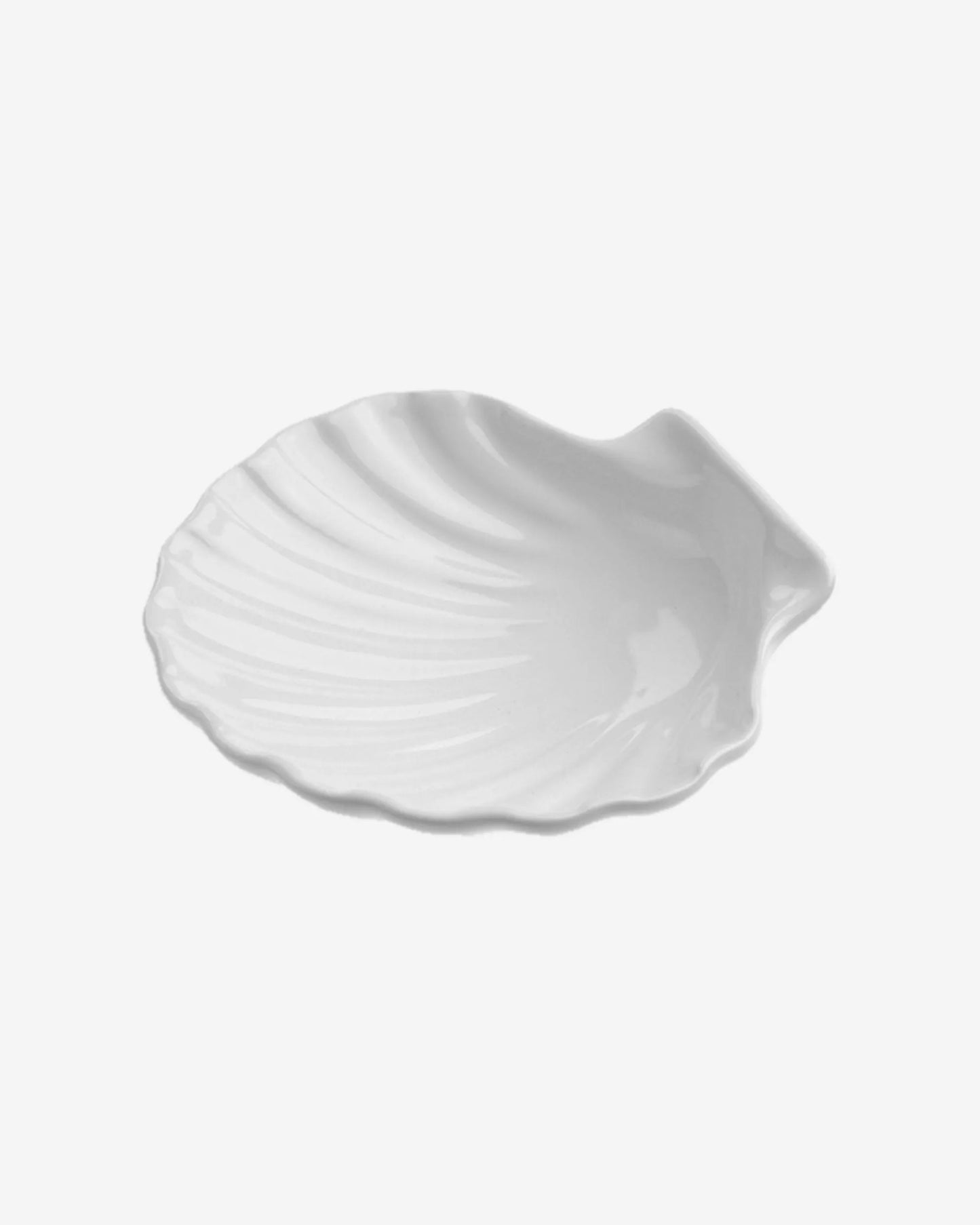 SCALLOP-SHELL 13CM