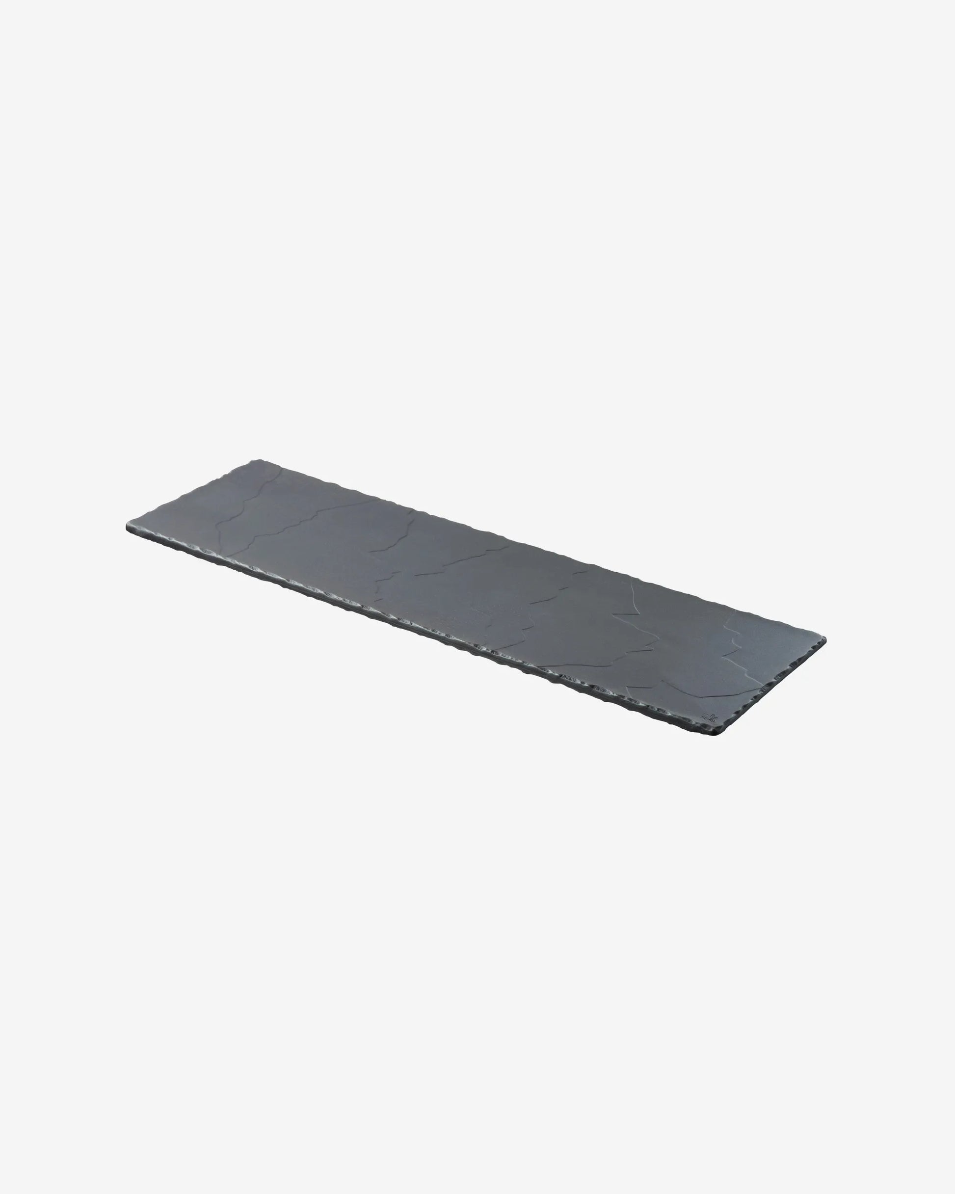 RECTANGULAR TRAY, 2/4 GASTRO