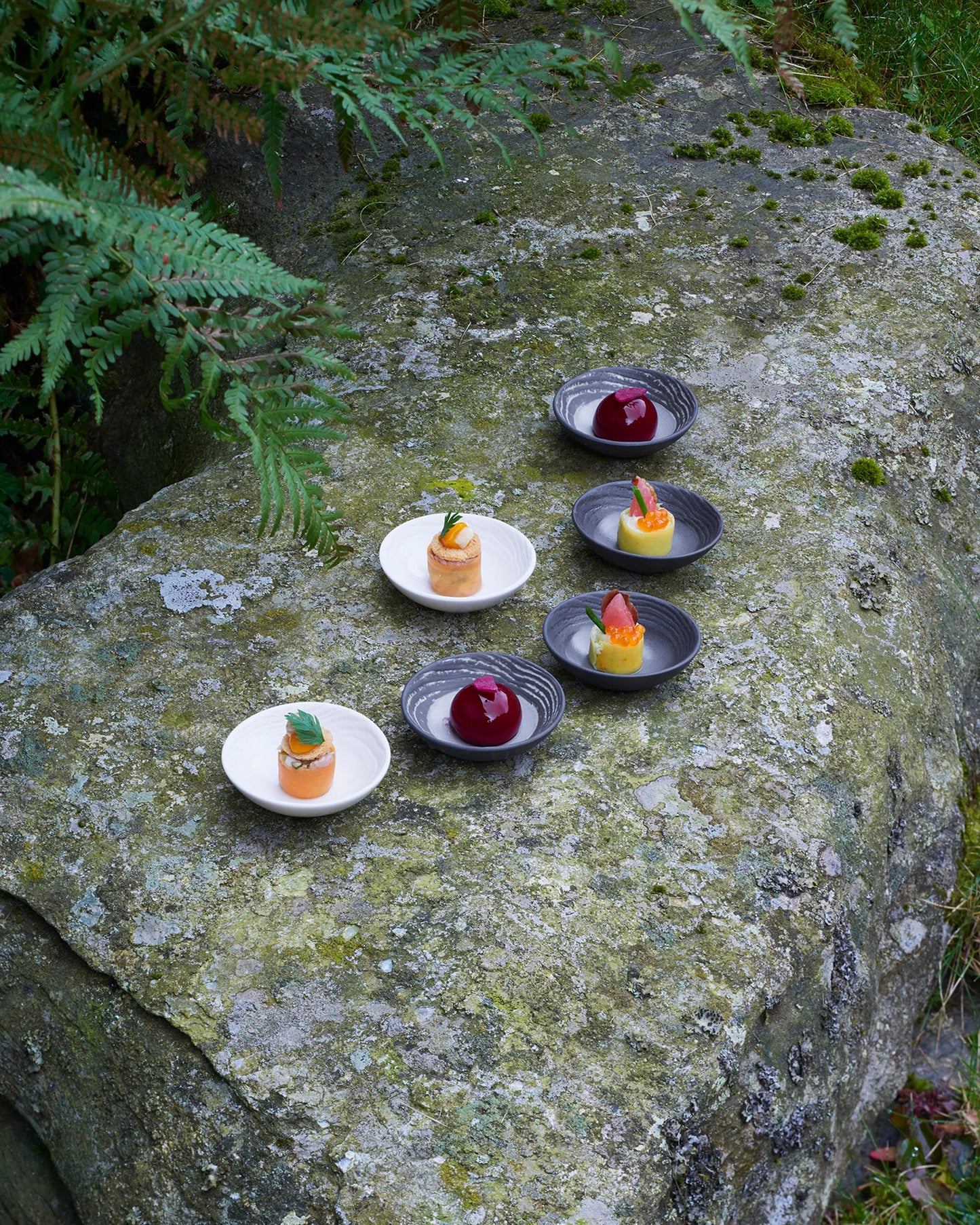 Revol ARBORESCENCE DESSERT PLATE 21,5CM Pepper SKU: '648475