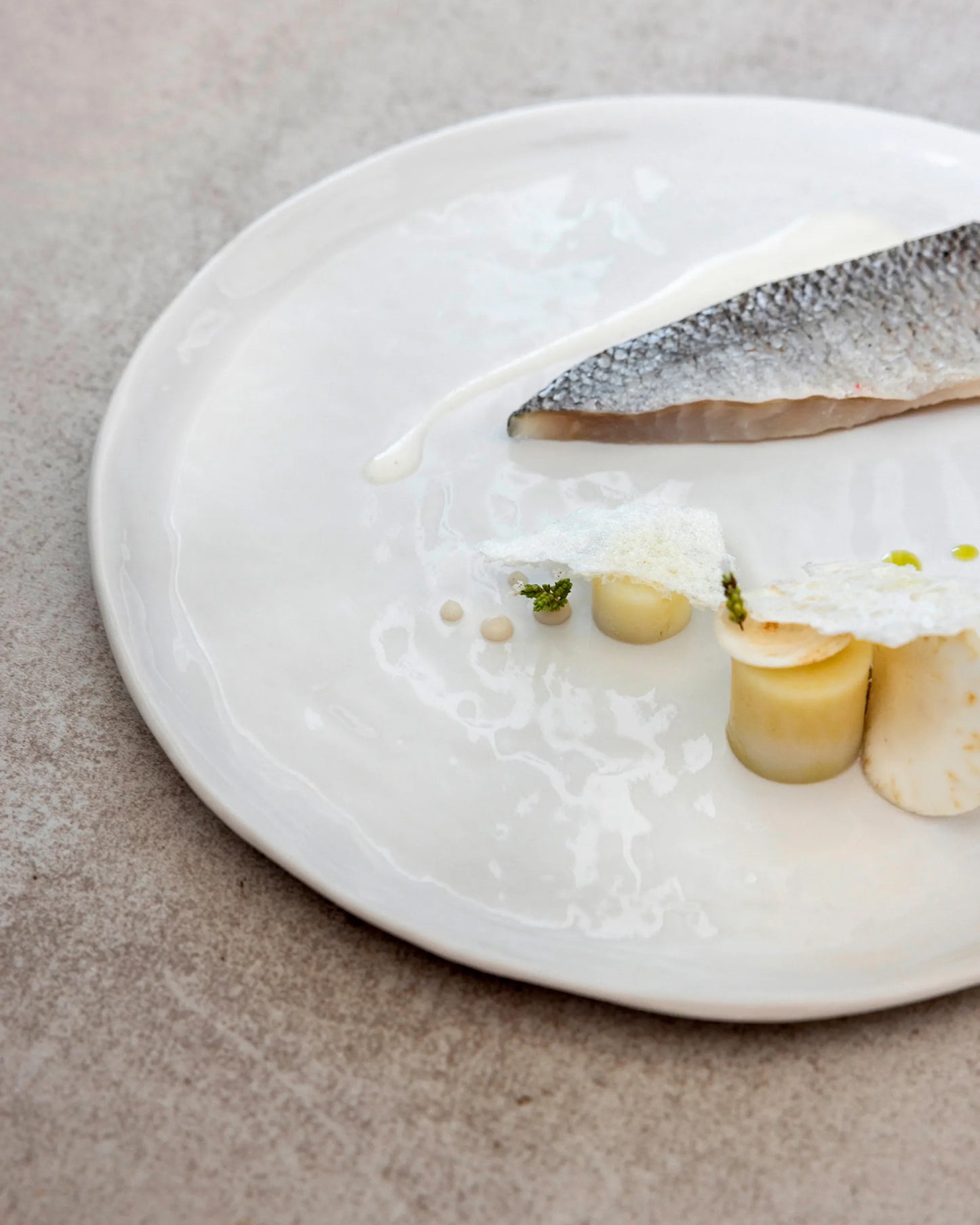 Revol YLI DINNER PLATE 26,5CM Alabaster white SKU: '656382