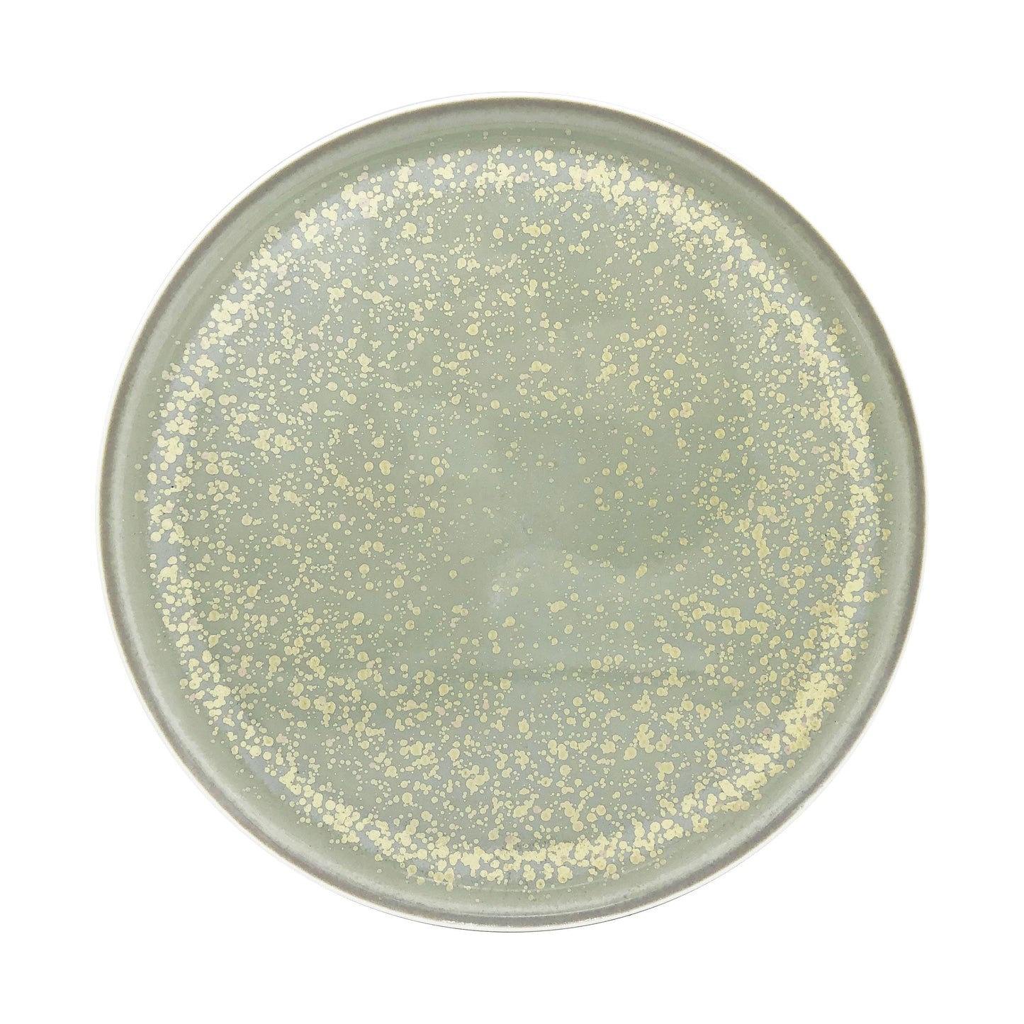 JL Coquet SONG Sienne - Assiette 29 cm, Slim 11.42 Inch SKU: SLI1002SGSICREM000