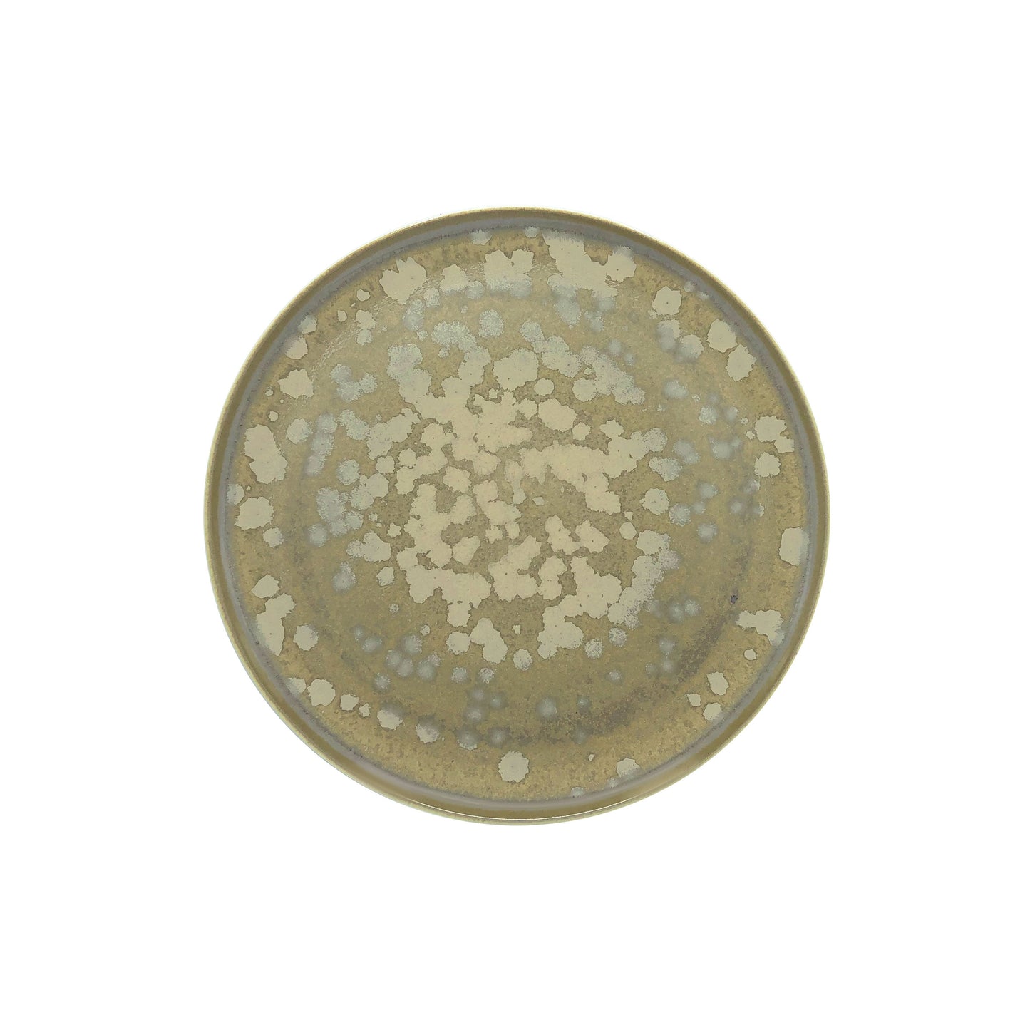 JL Coquet BASMATI - Assiette ? dessert, Slim 8.27 Inch SKU: SLI1028BASMBLNC000