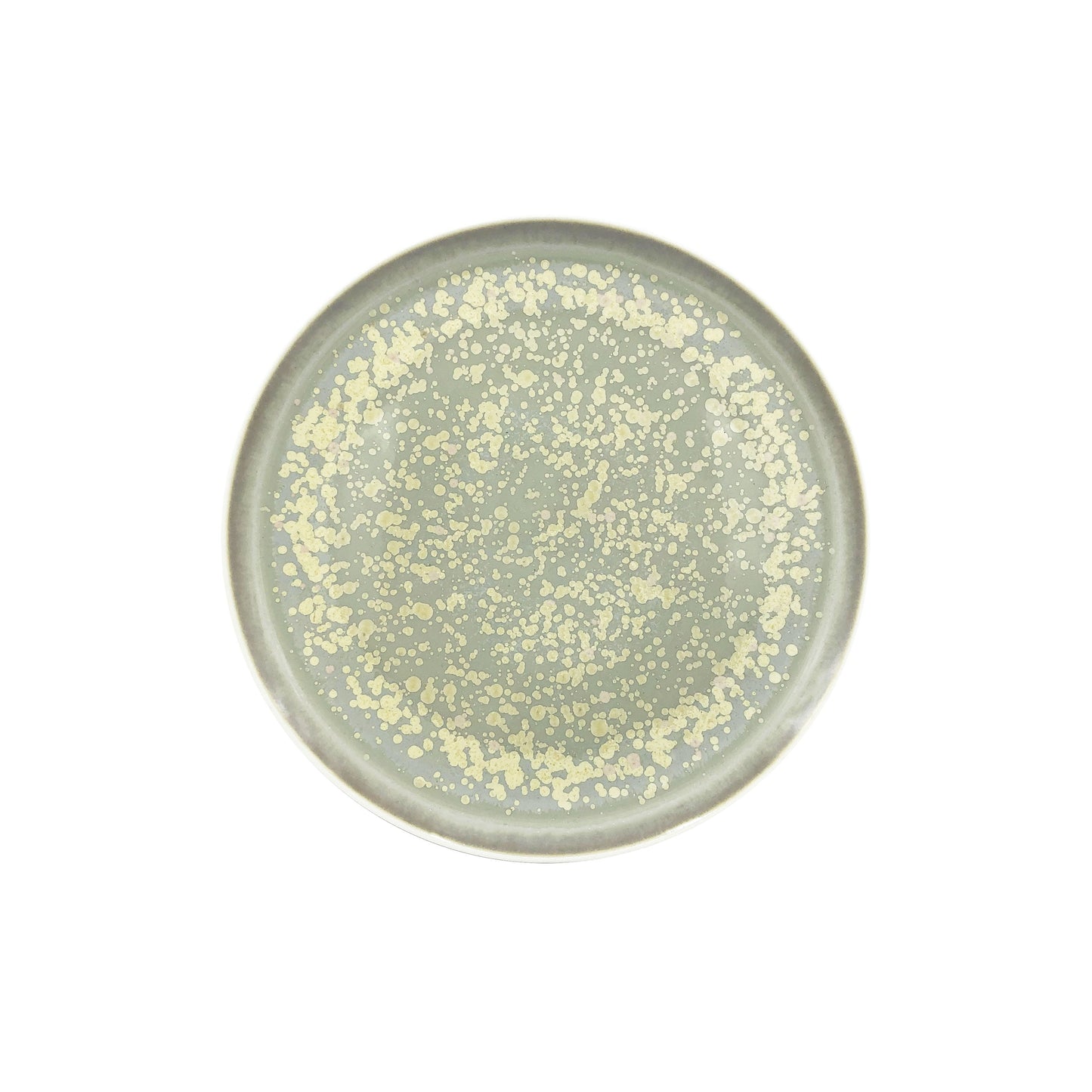 JL Coquet SONG Sienne - Assiette ? dessert, Slim 8.27 Inch SKU: SLI1028SGSICREM000