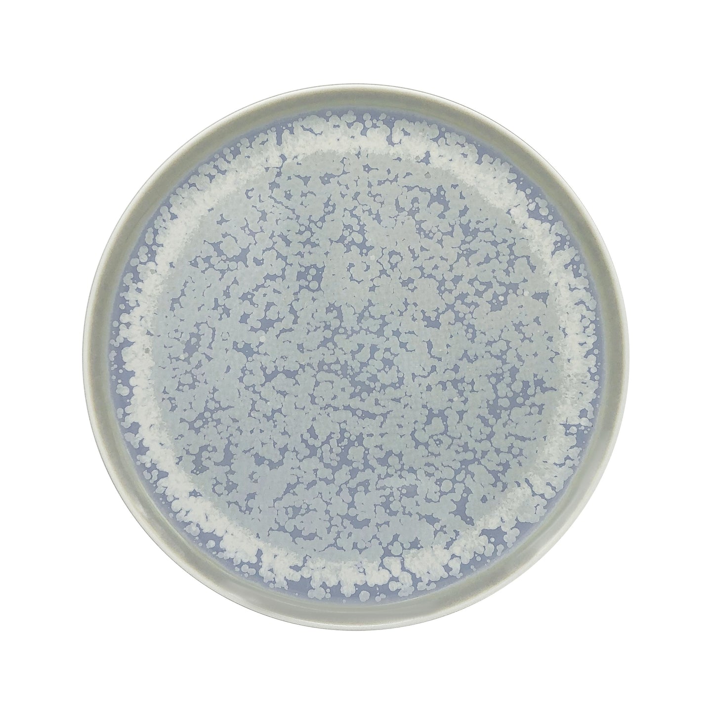 JL Coquet SONG Oc?an - Assiette plate, Slim 10.63 Inch SKU: SLI1034SGOCCREM000