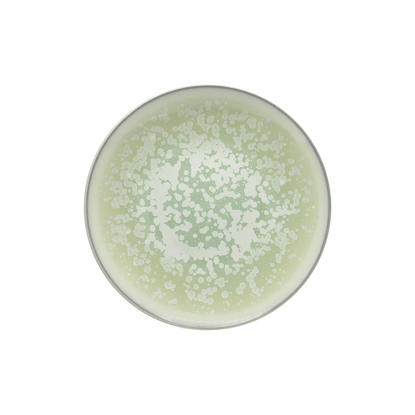 JL Coquet SONG Amande - Assiette ? dessert, Agora 8.27 Inch SKU: AGO1028SGAMCREM000