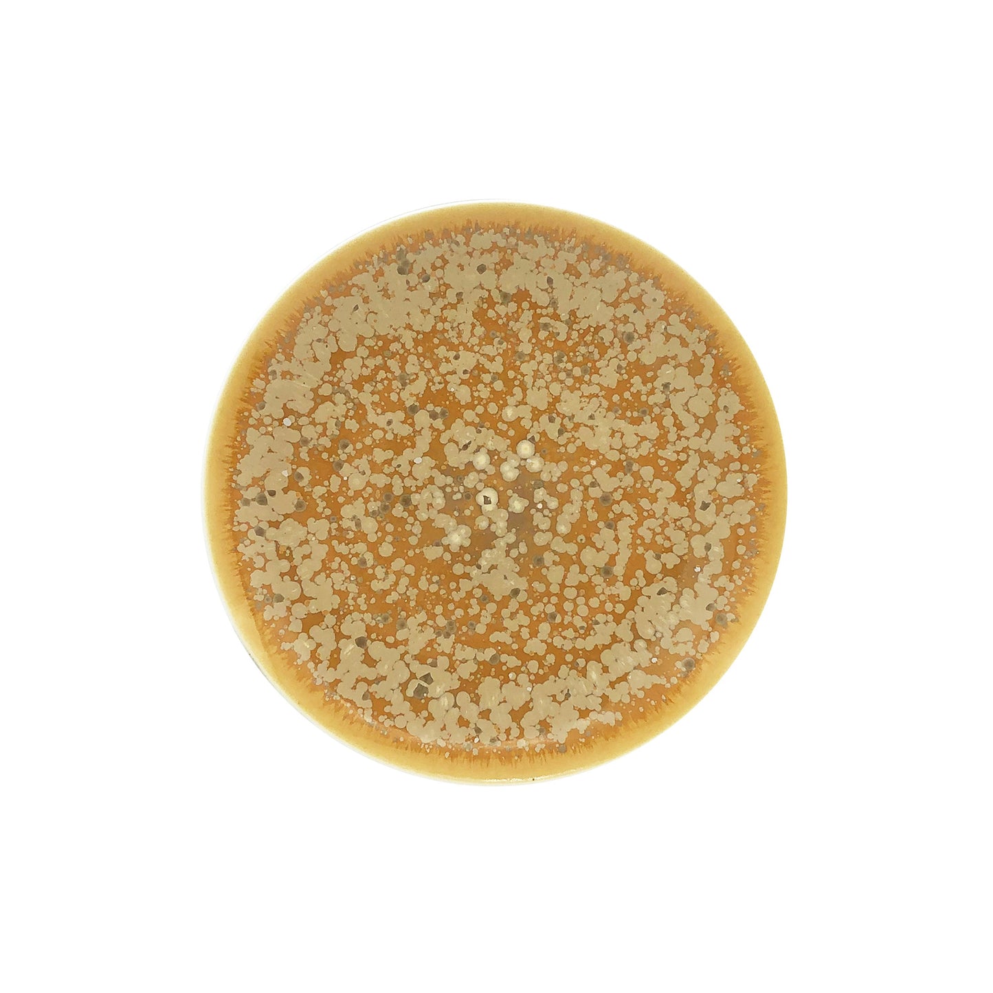 JL Coquet Song Ocre - Assiette ? dessert 8.27 Inch SKU: AGO1028OCRECREM000