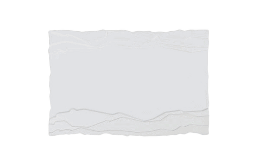 Rectangular Plate 067 0017 10 1/4 x 7 in (26 x 18 cm)