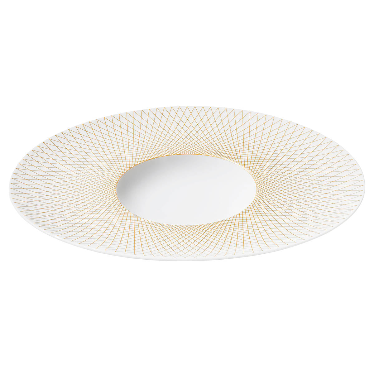 Degrenne Collection Graphique Classique Gold oval gourmet plate: 12.60 inches