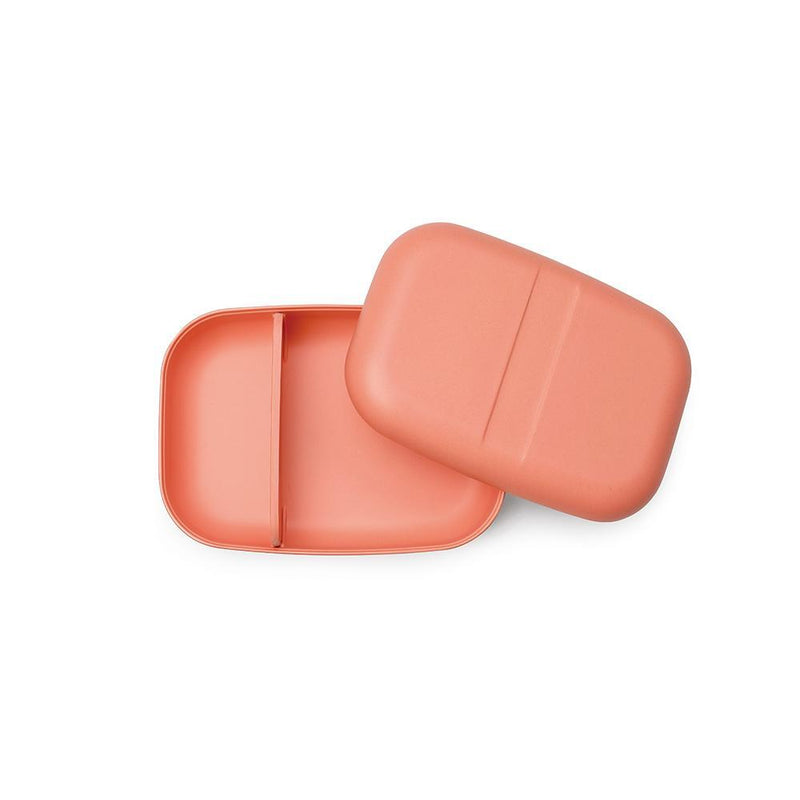 Rectangular Bento Lunch Box - Coral