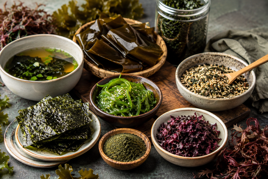 Seaweed Goes Mainstream: The Mineral-Rich Superfood Expanding Beyond Sushi