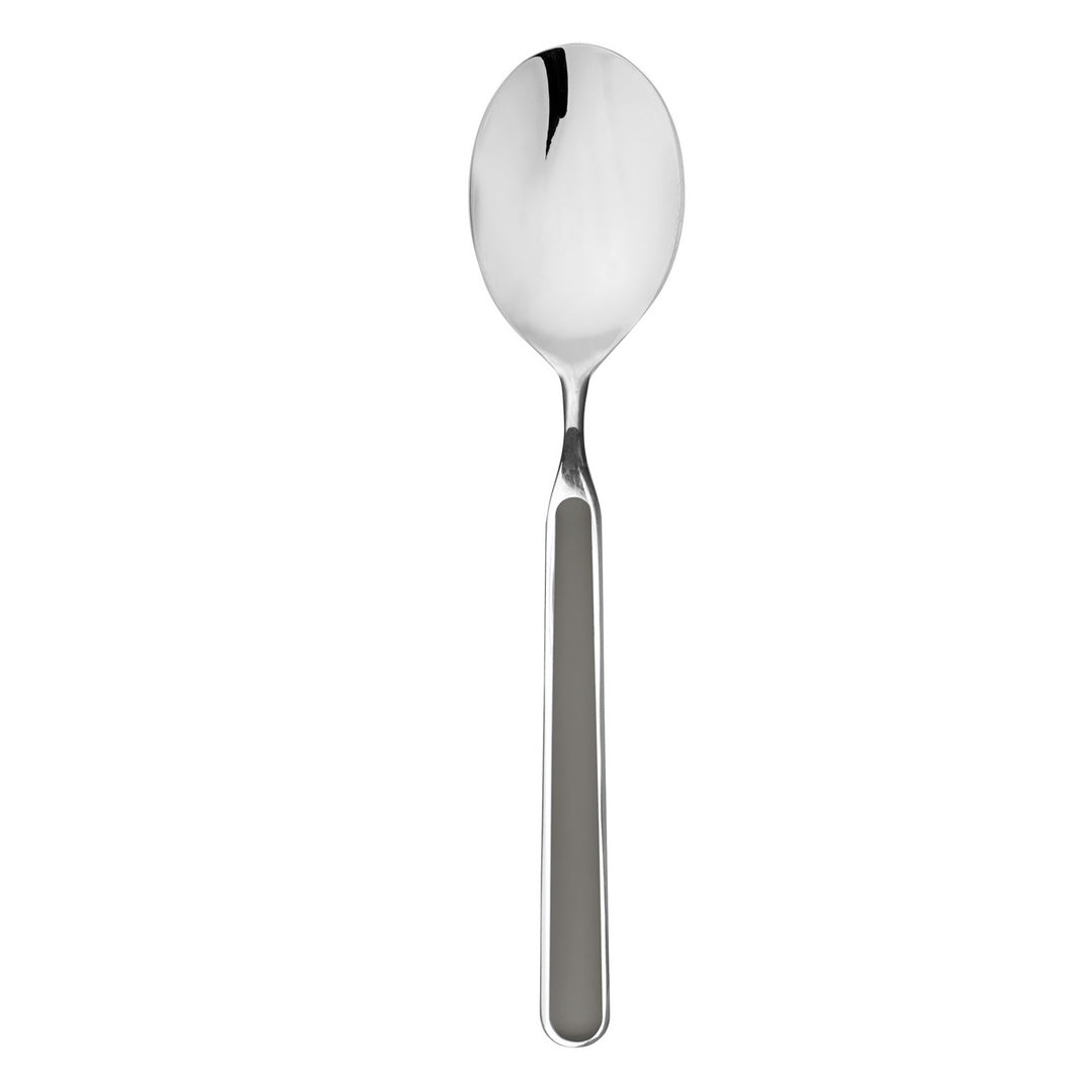 Serving Spoon Vicuna 