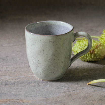 Porto Brasil PISTACHE ORGANIC MUG dia. 9.23 oz.  SKU: '11314108801