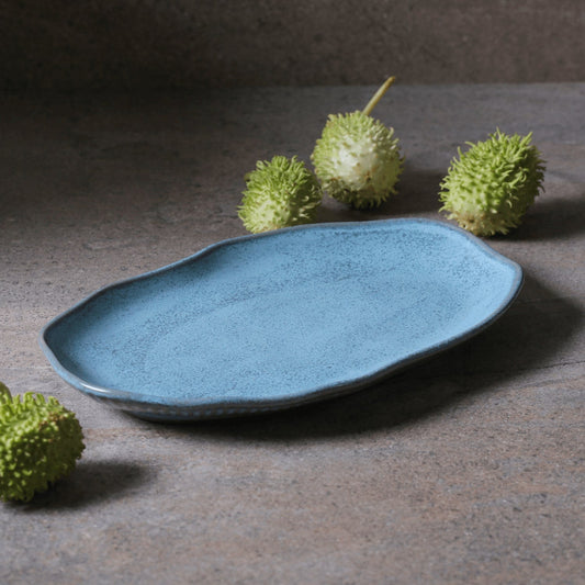 Porto Brasil BREEZE SHALLOW OVAL PR MEDIUM BIO STONEWARE dia. 11.81x7.87"  SKU: '14831109001