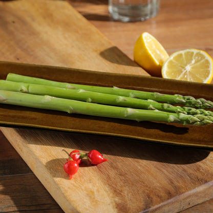 Porto Brasil AMBER RECTANGULAR PR ORGANIC STONEWARE dia. 8.66x3.74"  SKU: '1501477101