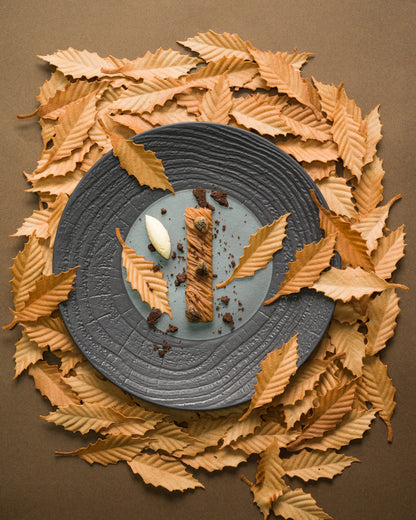 Revol ARBORESCENCE DINNER PLATE 28CM Pepper SKU: '648281