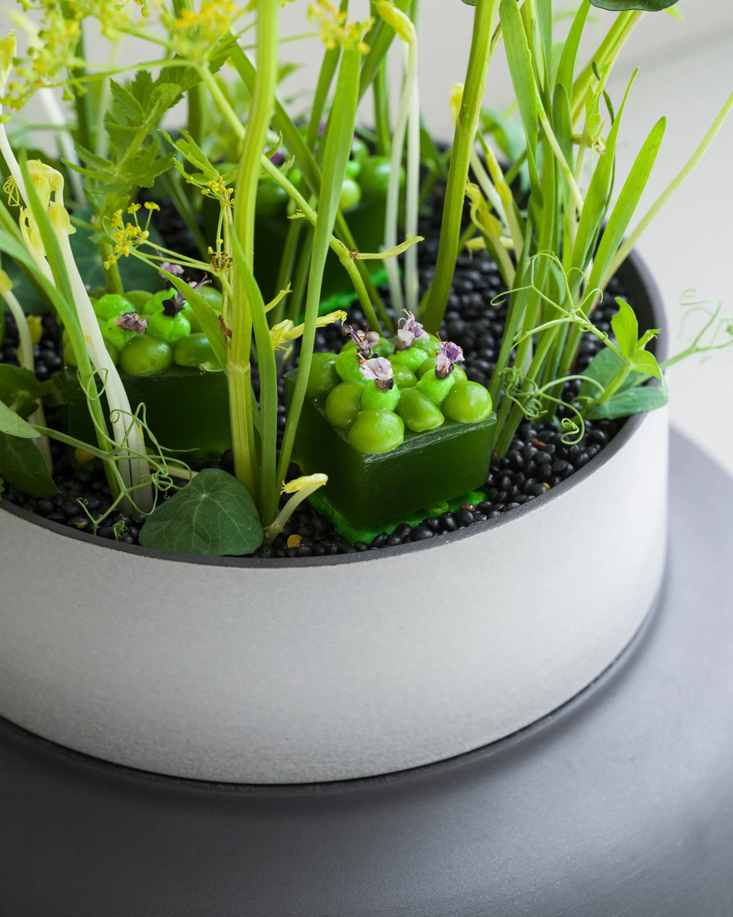 Revol EQUINOXE BASKET FOR DIM SUM Pepper SKU: '649511