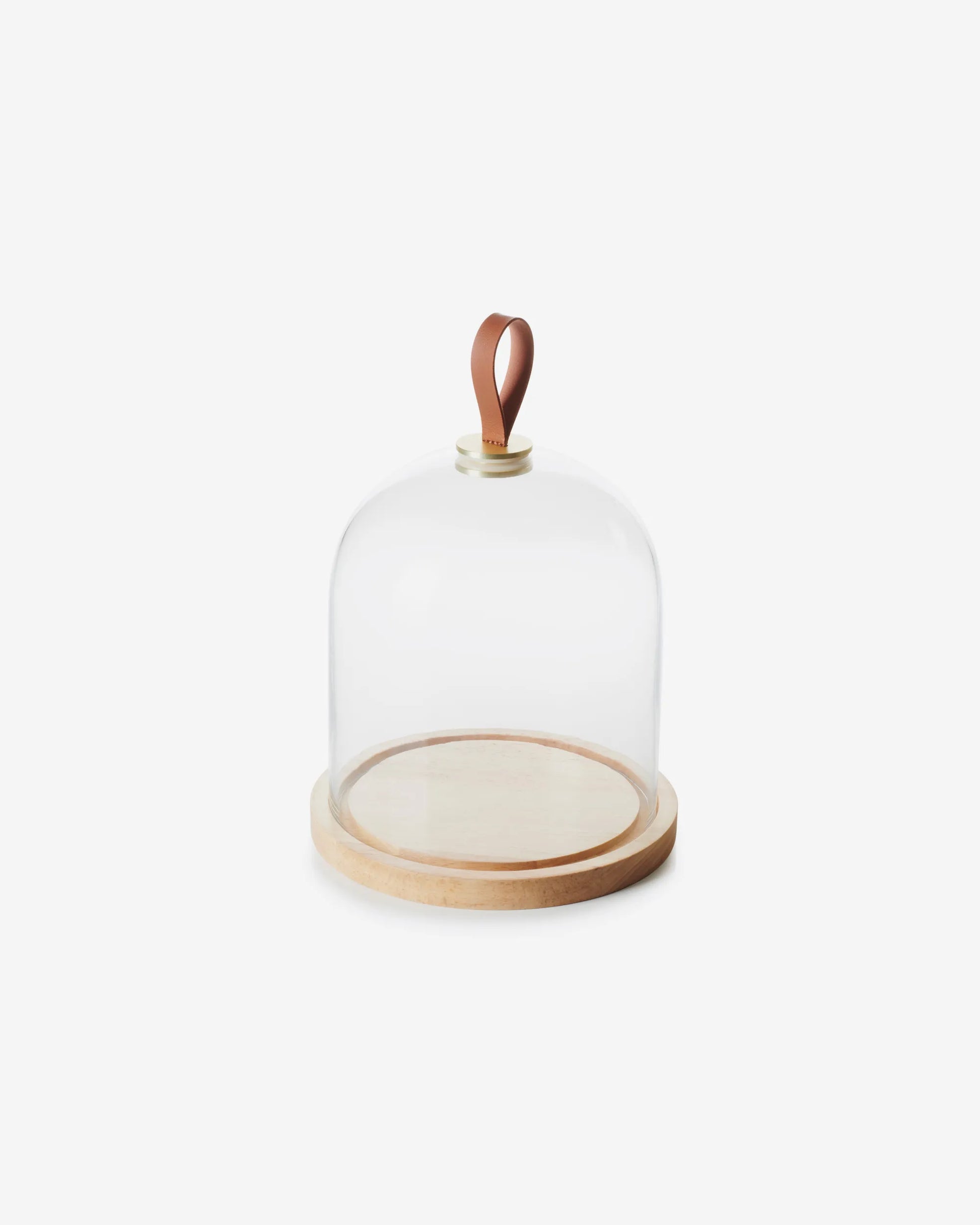 CLOCHE & OAK BASE 20CM
