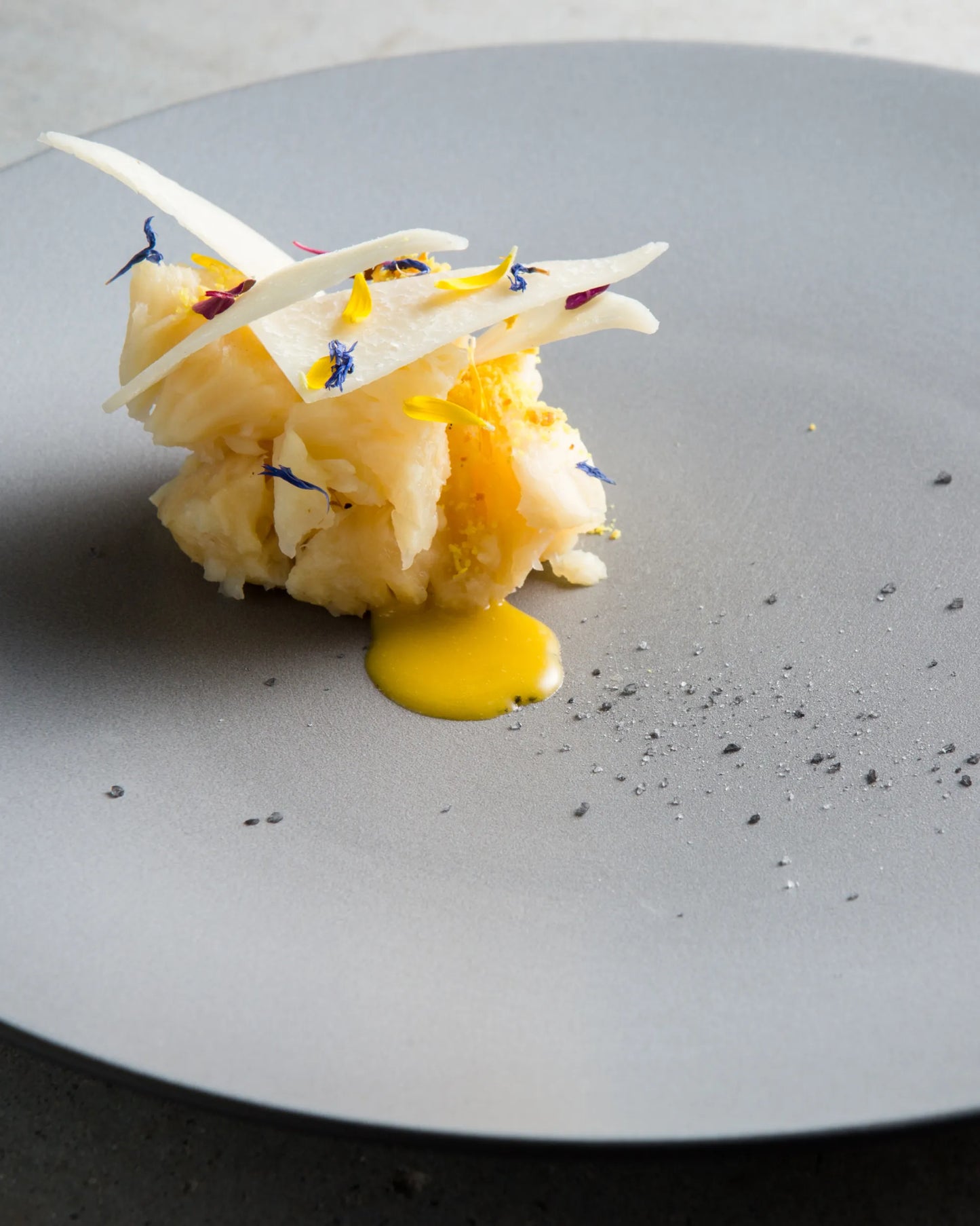 Revol EQUINOXE DINNER PLATE 28CM White Cumulus SKU: '651439