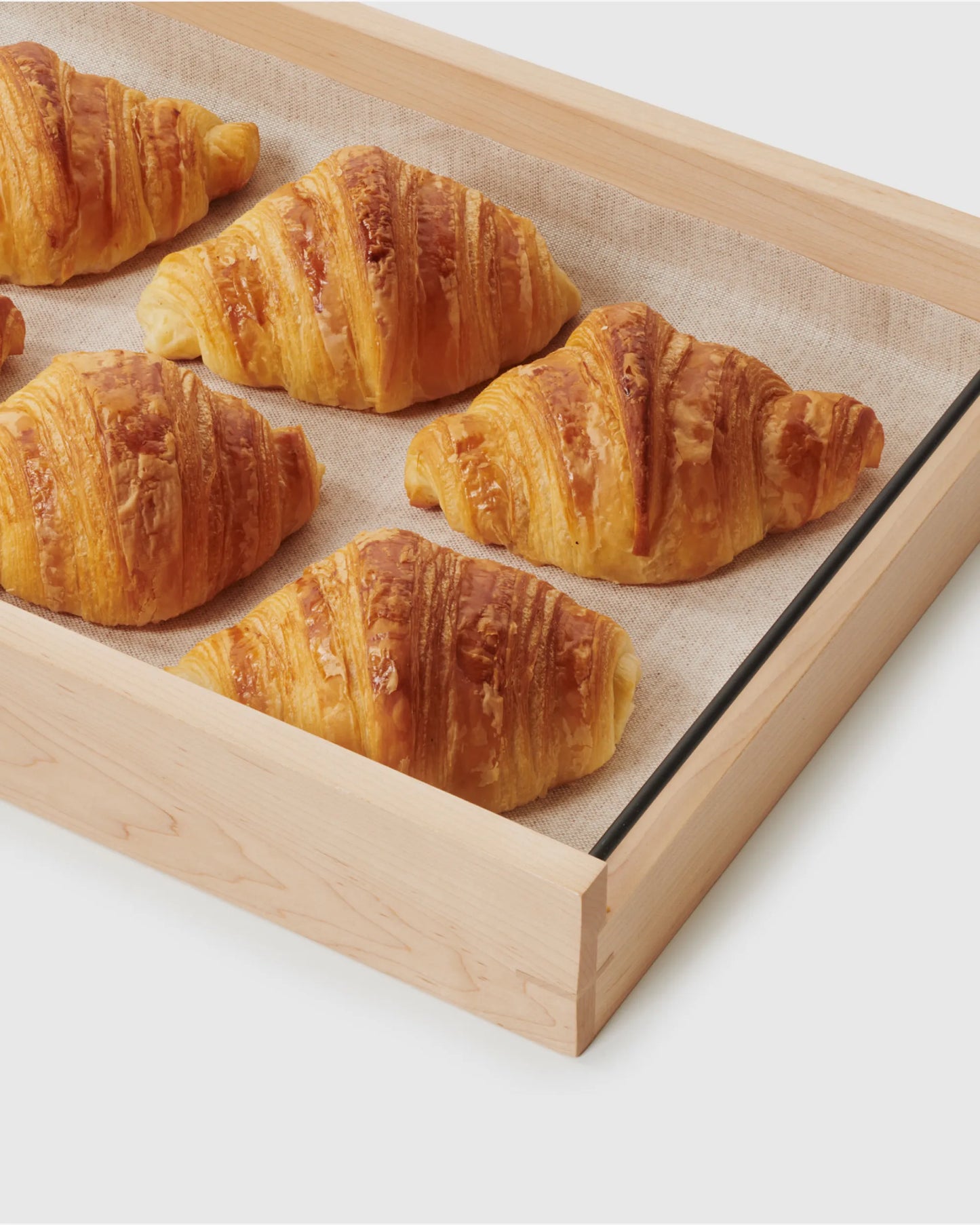 Revol EN SCENE BOX GN 1/1 Maple SKU: '656032