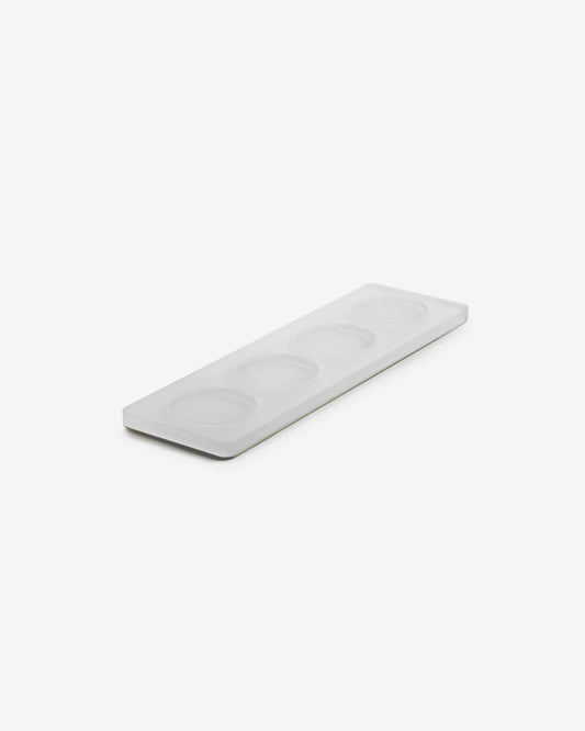 TRAY WITH 4 INSERTS