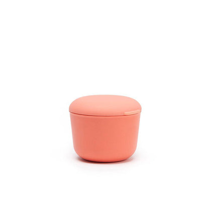Small Store & Go Food Container - Coral