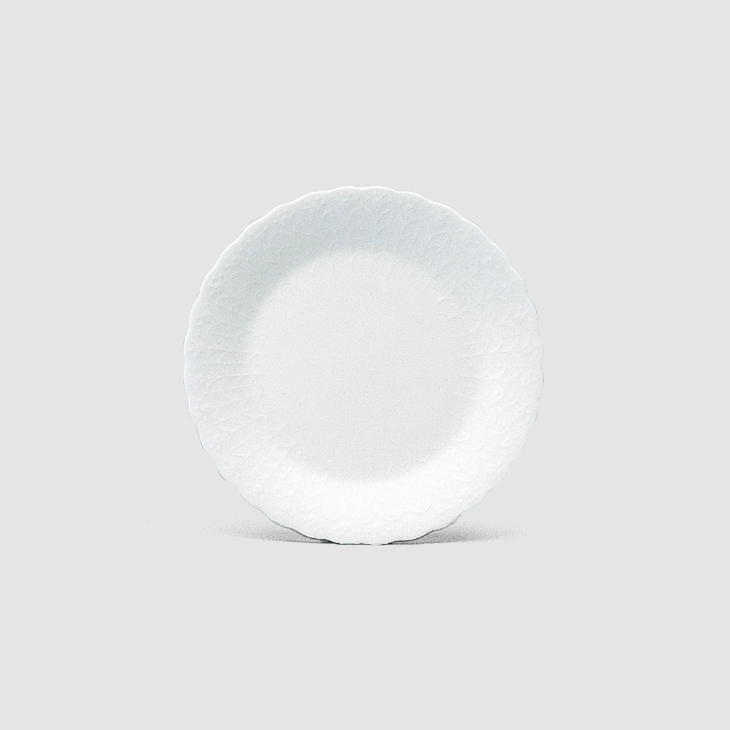 16cm plate