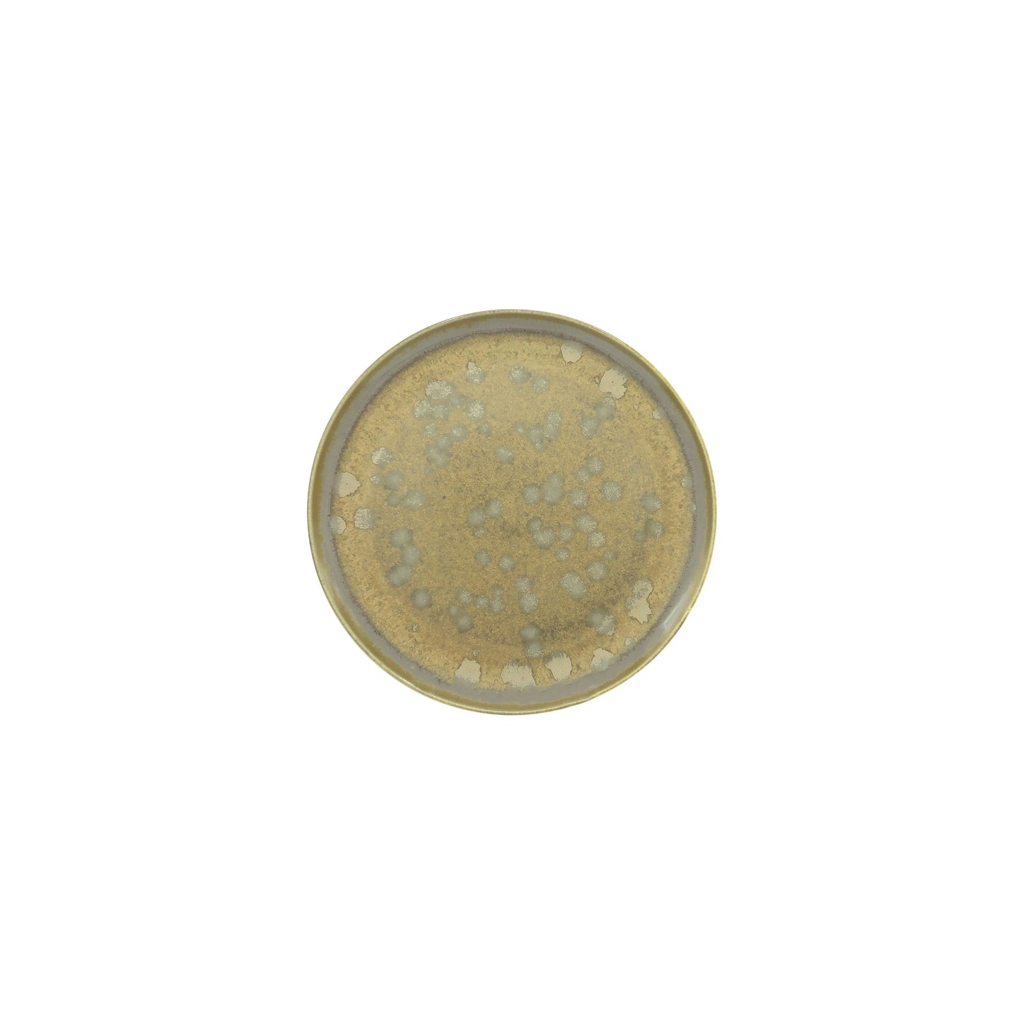 JL Coquet  BASMATI - Assiette ? pain, Slim 6.1 Inch SKU: SLI1008BASMBLNC000