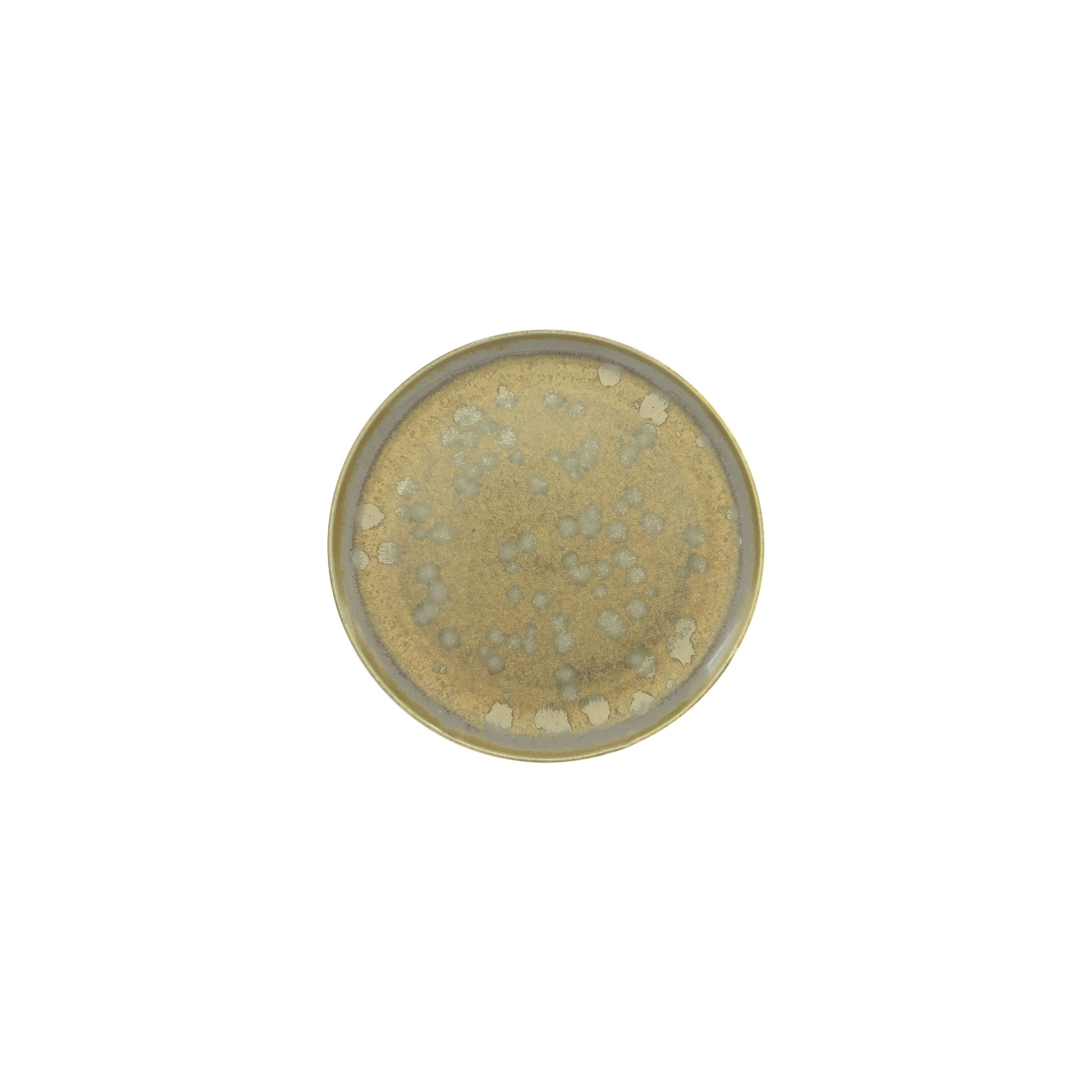 JL Coquet  BASMATI - Assiette ? pain, Slim 6.1 Inch SKU: SLI1008BASMBLNC000