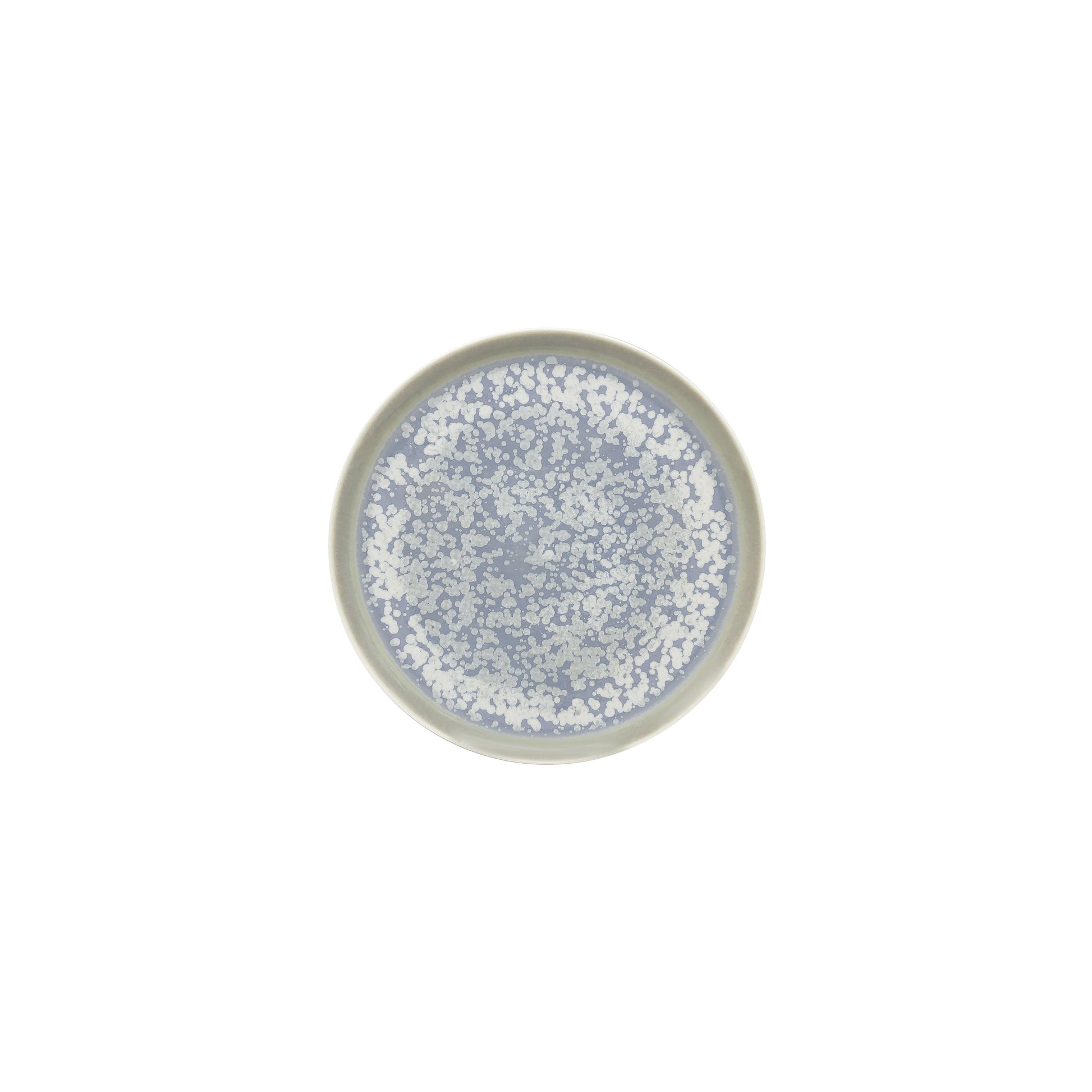 JL Coquet  SONG Oc?an - Assiette ? pain, Slim 6.3 Inch SKU: SLI1028SGOCCREM000