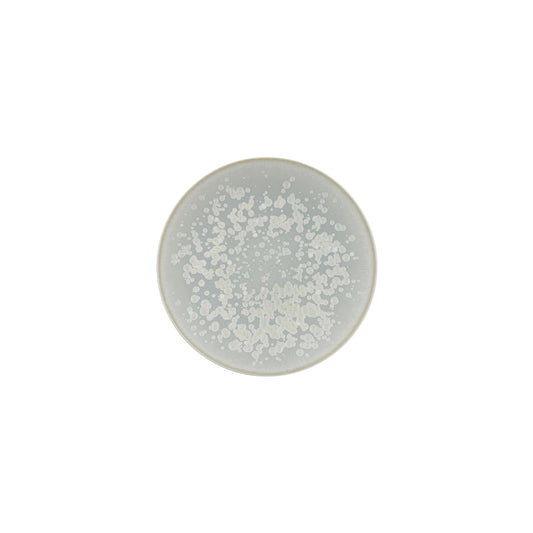 JL Coquet  SONG Orage - Assiette ? pain, Agora 6.1 Inch SKU: AGO1008SGORCREM000