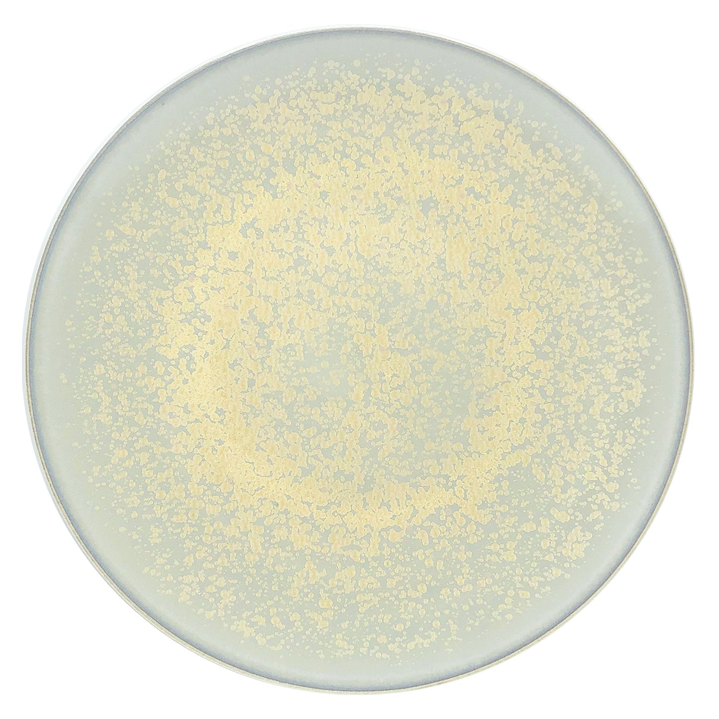 JL Coquet  SONG Sienne - Assiette de pr?sentation, Agora 12.6 Inch SKU: AGO1039SGSICREM000