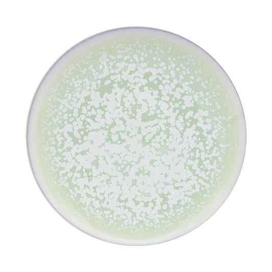 JL Coquet  SONG Amande - Assiette 29 cm, Agora 11.42 Inch SKU: AGO1002SGAMCREM000