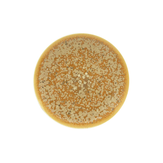 JL Coquet  Song Ocre - Assiette ? dessert 8.27 Inch SKU: AGO1028OCRECREM000