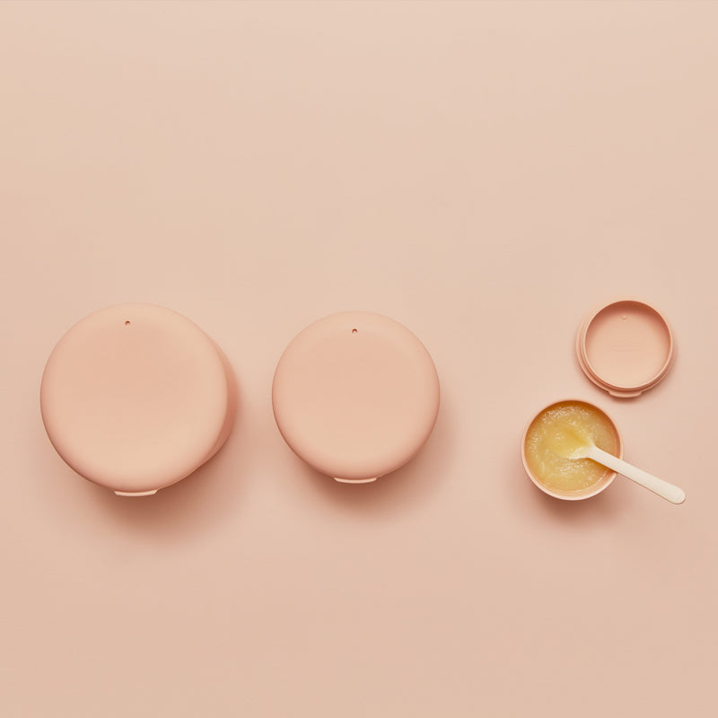 Large Store & Go Food Container - Blush